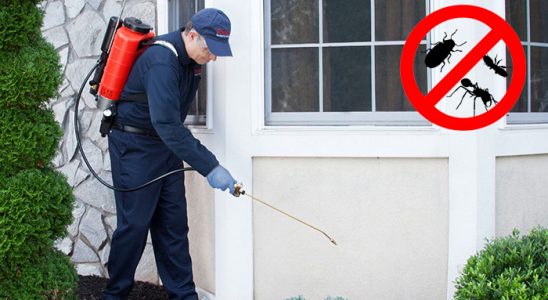 Kepsut Hamam Böceği İlaçlama böcek ilaçlama ve haşere kontrolü — ilaclama-tr.com